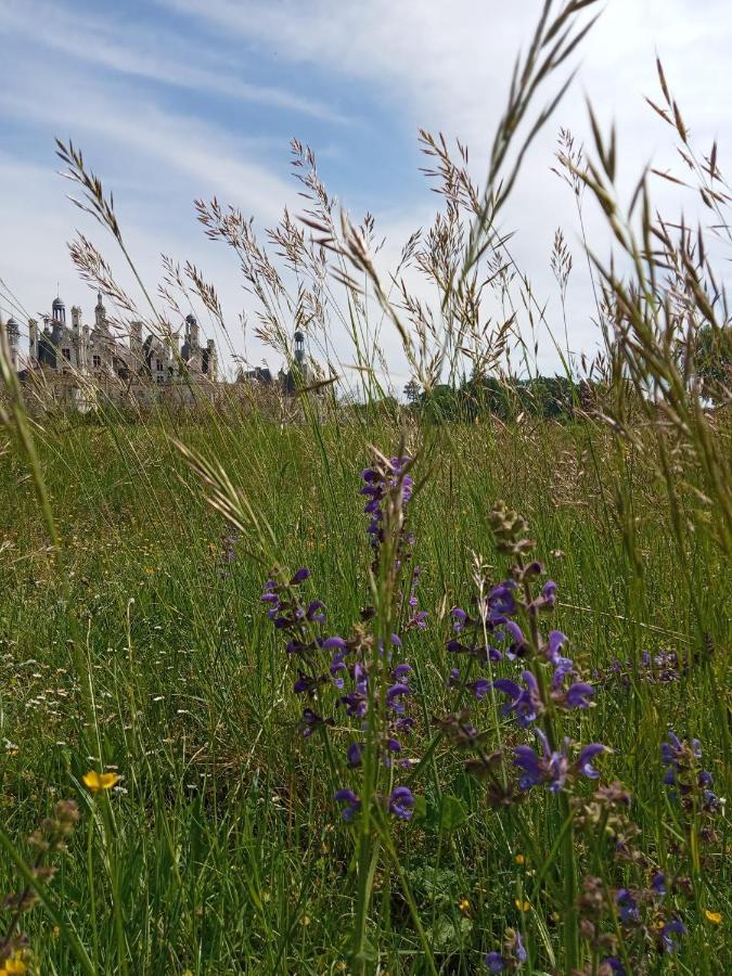 La Robiniere Maison D'Hotes Mont-près-Chambord Kültér fotó