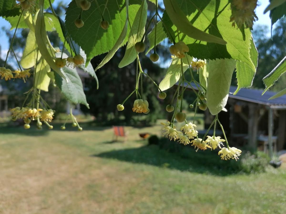 La Robiniere Maison D'Hotes Mont-près-Chambord Kültér fotó